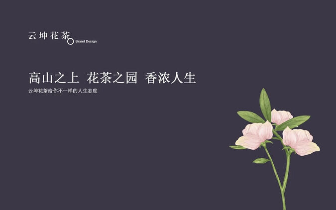 产品详细图