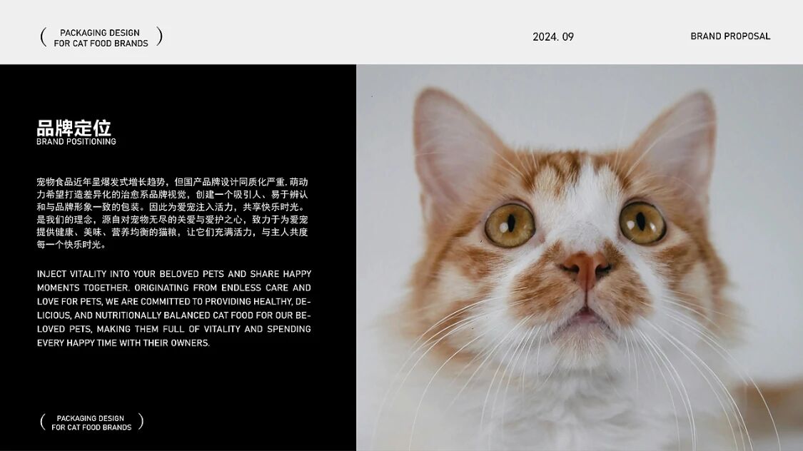 产品详细图
