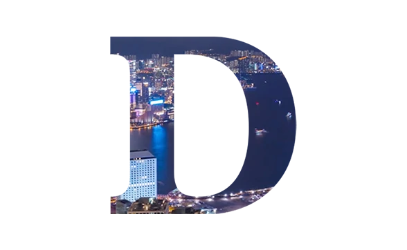 服务项目D